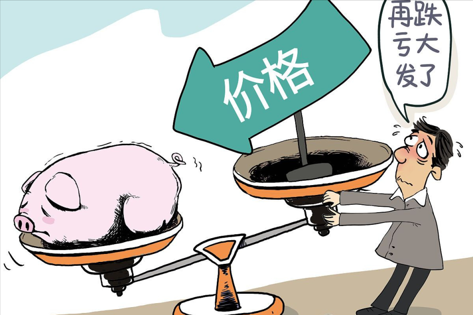 地方新闻 第94页