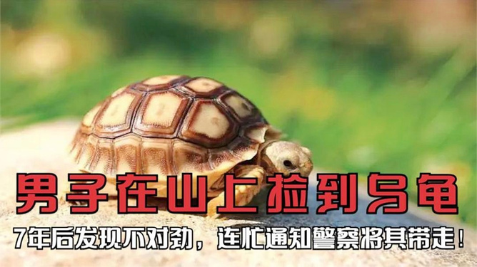 第1112页