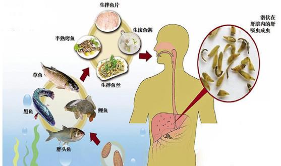 游戏专题 第55页