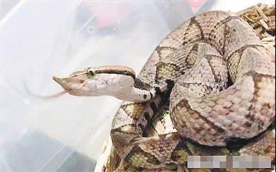 娱乐生活 第8页